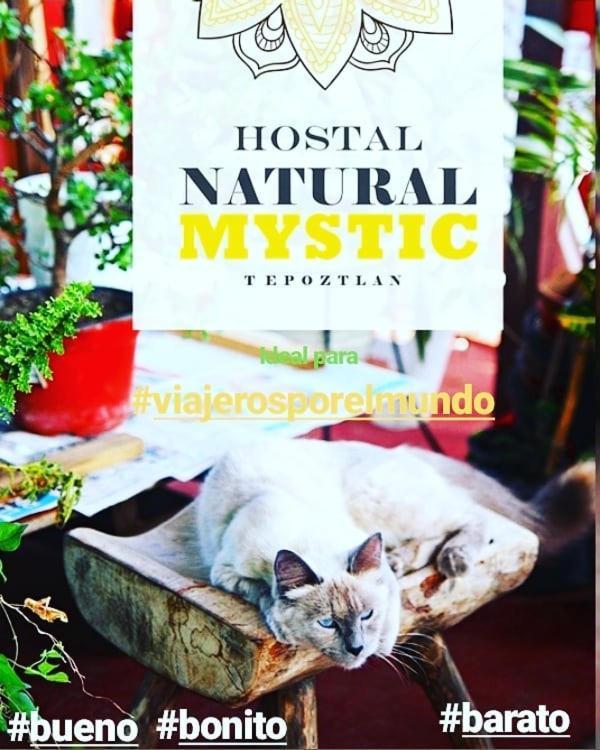 Natural Mystic Hostal Tepoztlan Bagian luar foto