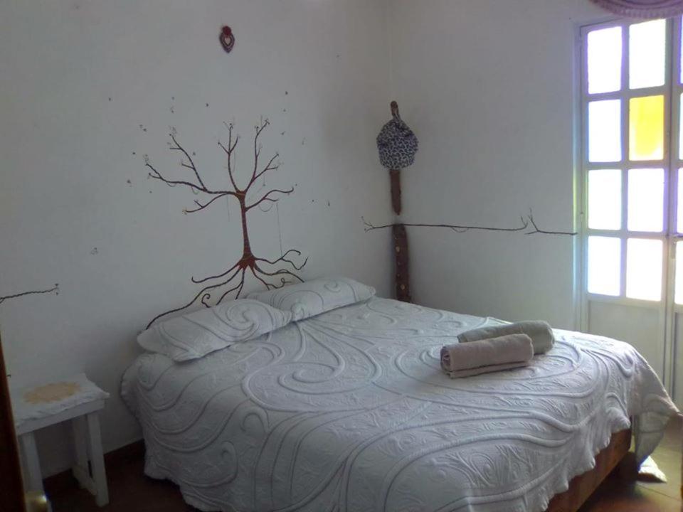 Natural Mystic Hostal Tepoztlan Bagian luar foto